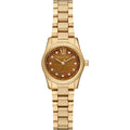 Michael Kors Petite Lexington MK7578 Gold Tone Tiger's Eye Dial Watch